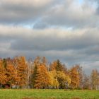 statt Blümchen - Herbstlandschaft