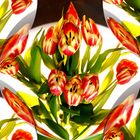 Statt dem Rosenwalzer als Mittwochsblümchen die tanzenden Tulpen