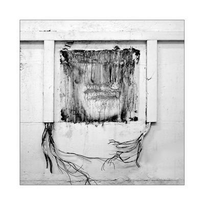 Statt eines schönen Bauches Nabel - besitzt der Herr hier Händ' aus Kabel