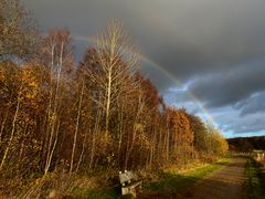 Statt Feuerwerk - ein Regenbogen