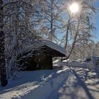 Statt Frühling haben wir wieder Winter