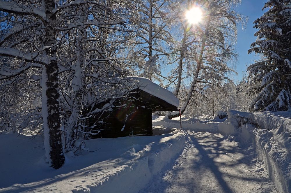 Statt Frühling haben wir wieder Winter