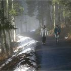 Statt skifahren bergwandern