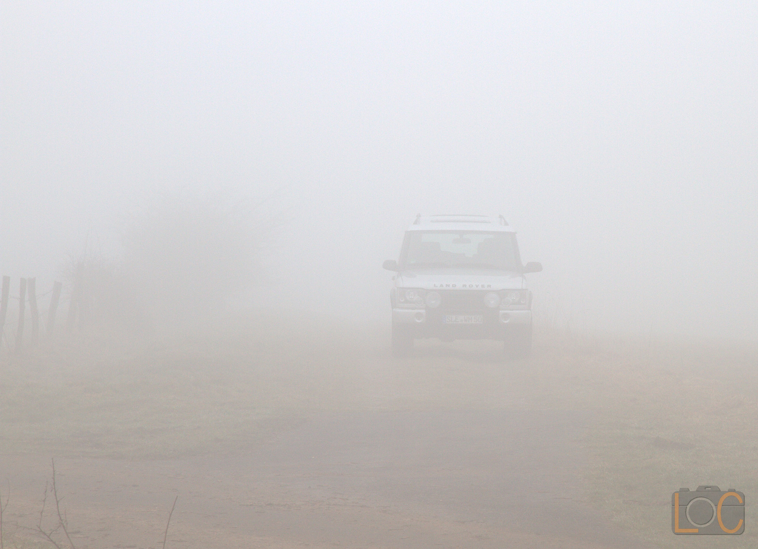 Statt Sofi Gorillas im Nebel....