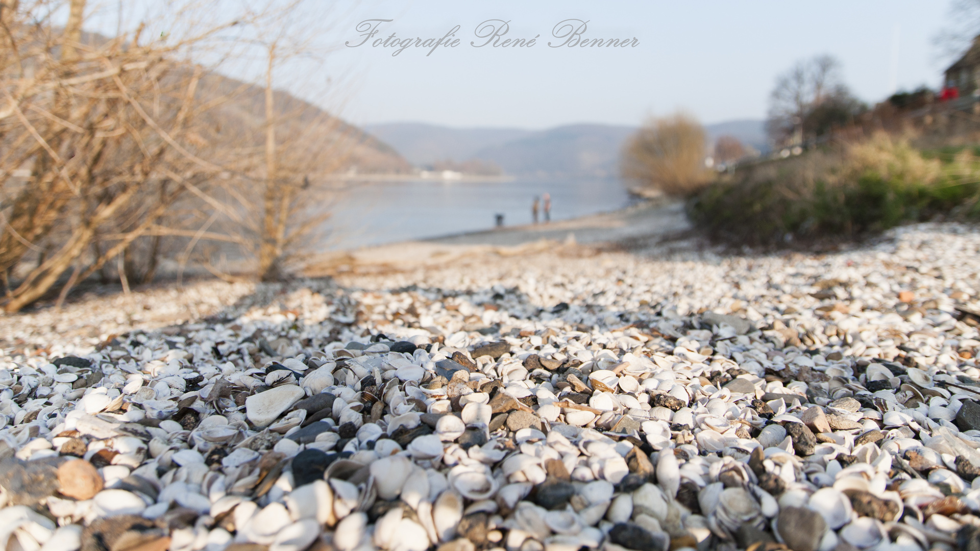 Statt Strand, R(h)ein in den Sommer