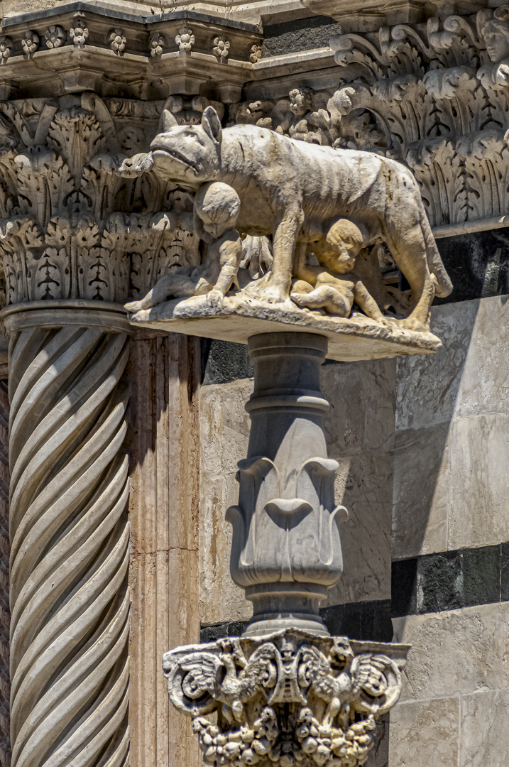 Statua della Lupa con i gemelli