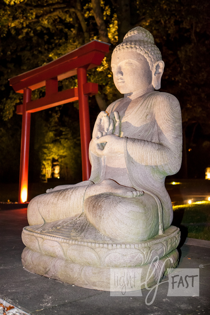 statue by night