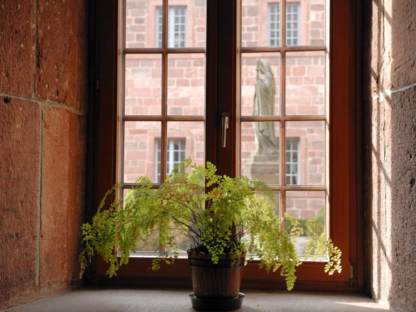 Statue de Sainte Odile (patronne de l'Alsace) vue depuis l'intérieur du cloître.