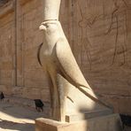 Statue des Falkengottes Horus vor dem Tempel in Edfu