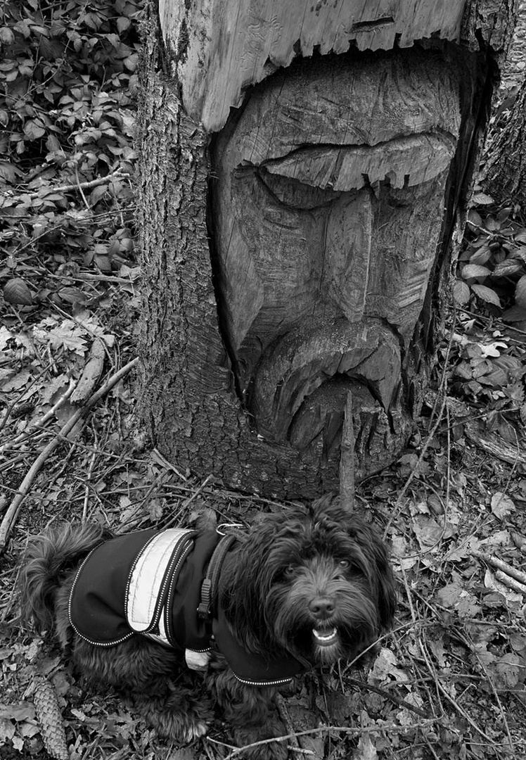 Statue mit Hund