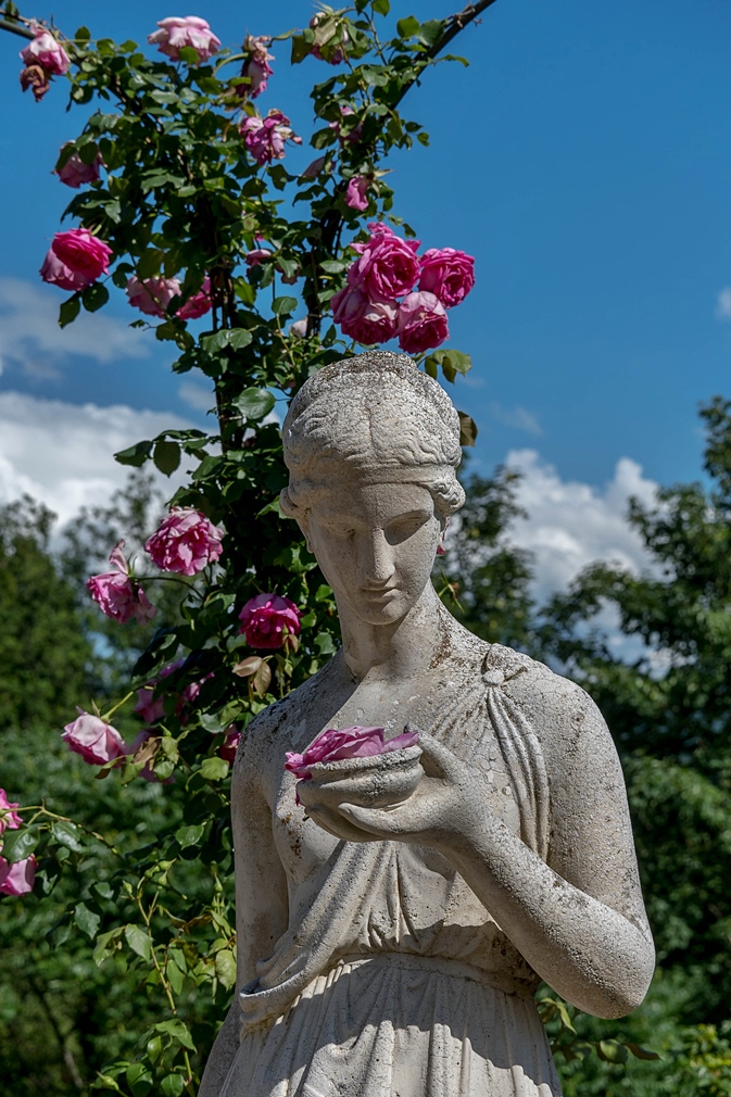 Statue mit Rosenblüte