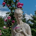 Statue mit Rosenblüte