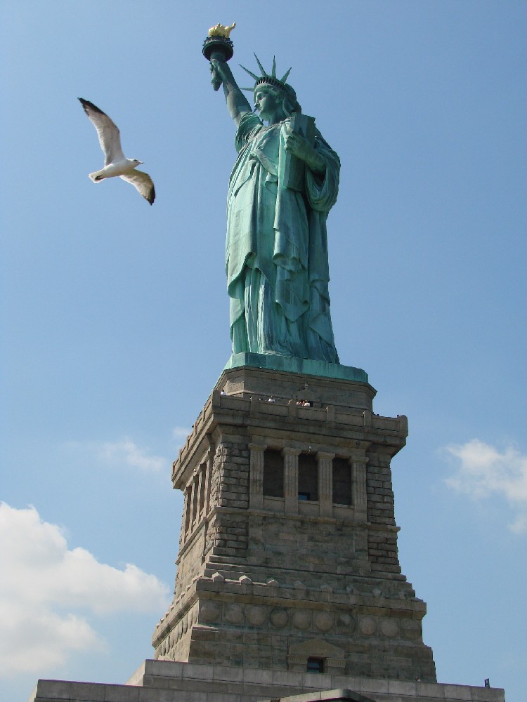 Statue of Liberty and bird