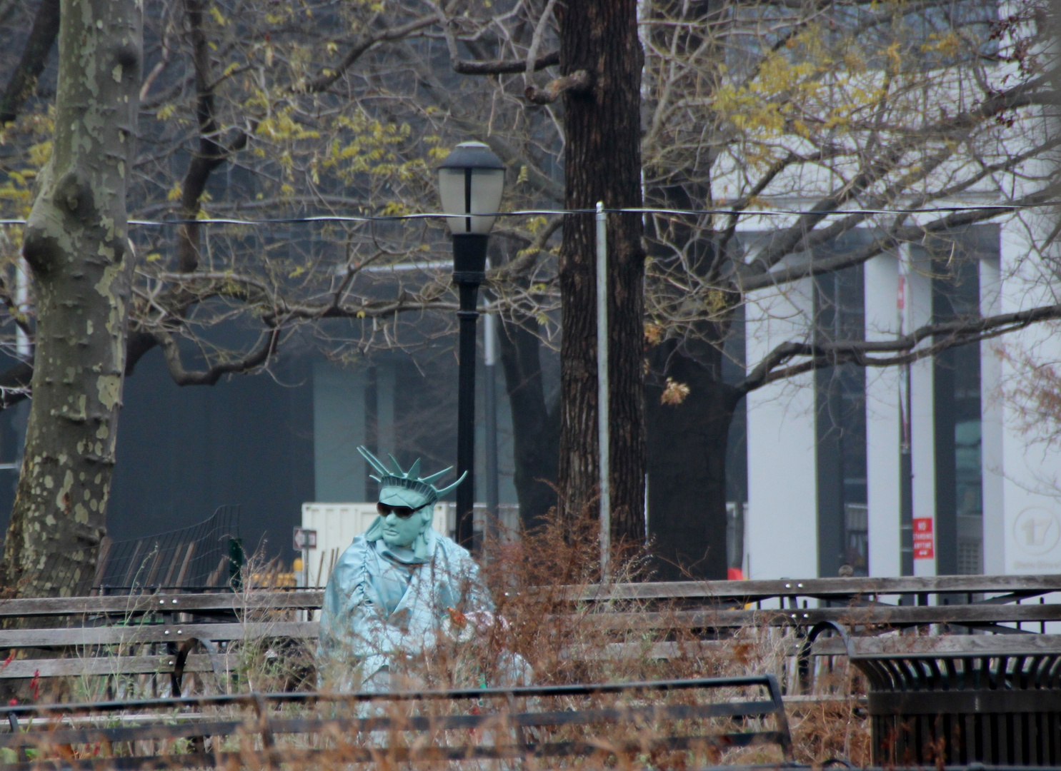 Statue of Liberty break (EOS 600d)