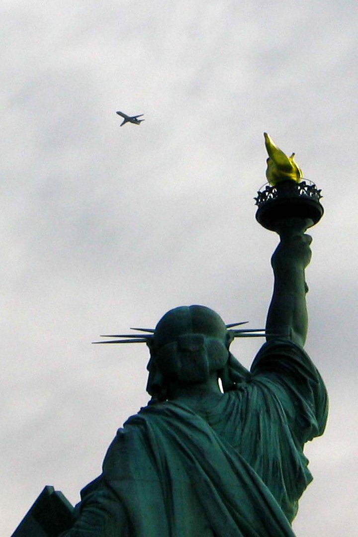 Statue of Liberty in defence
