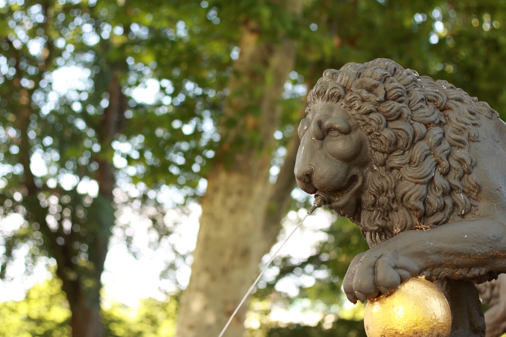 Statur im Akademiegarten