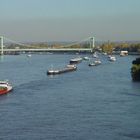 Stau auf dem Rhein