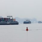 Stau auf dem Rhein Höhe Km 505