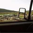 Stau auf der Gegenfahrbahn