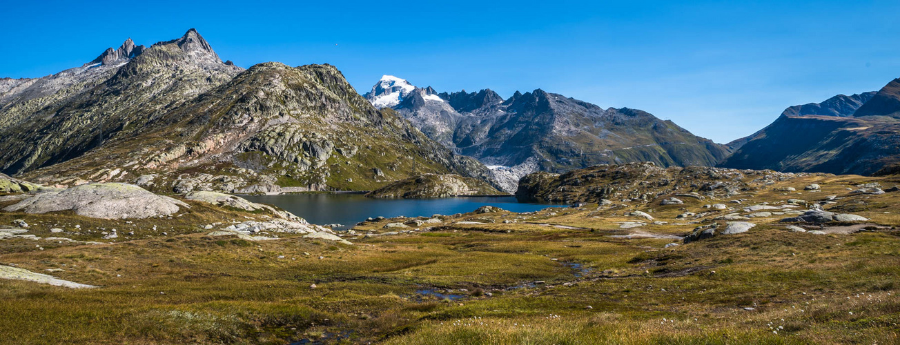 Stau- oder Moorsee