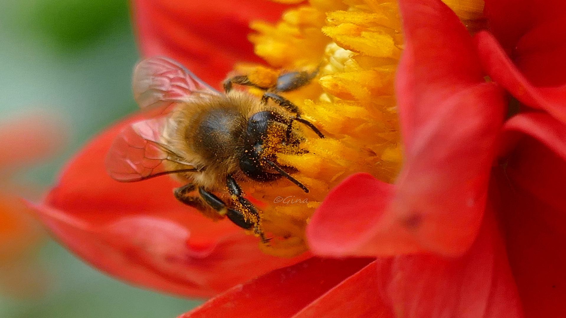 staubige Angelegenheit