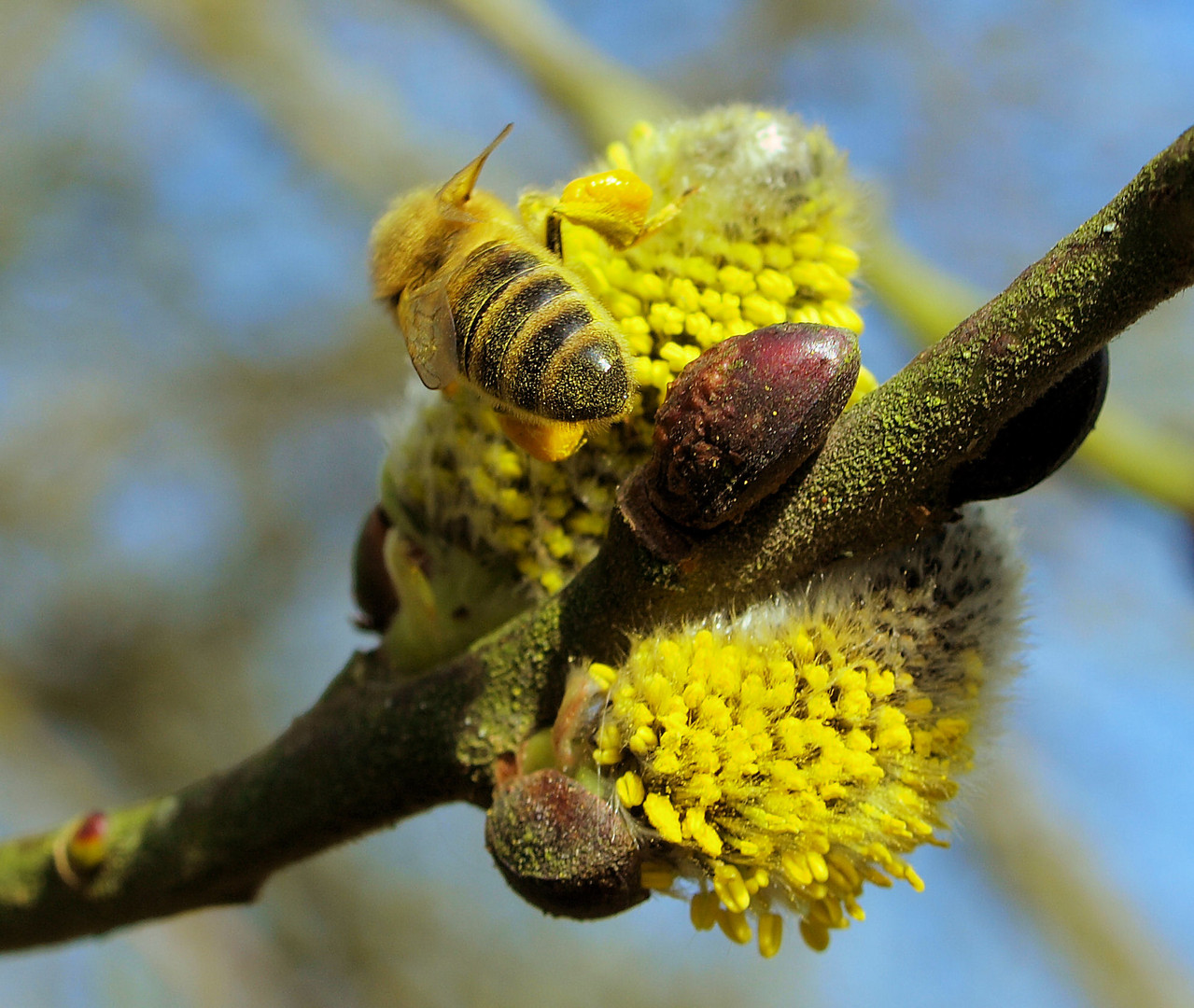 Staubige Arbeit...