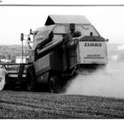 Staubige Arbeit mit dem Mähdrescher