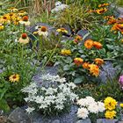 Stauden im runden Hochbeet im Garten Köttewitz