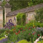 Staudenbeet im Botanischen Garten von Oxford