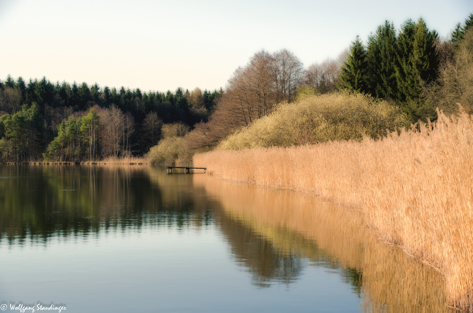 Staudhamer See 2017