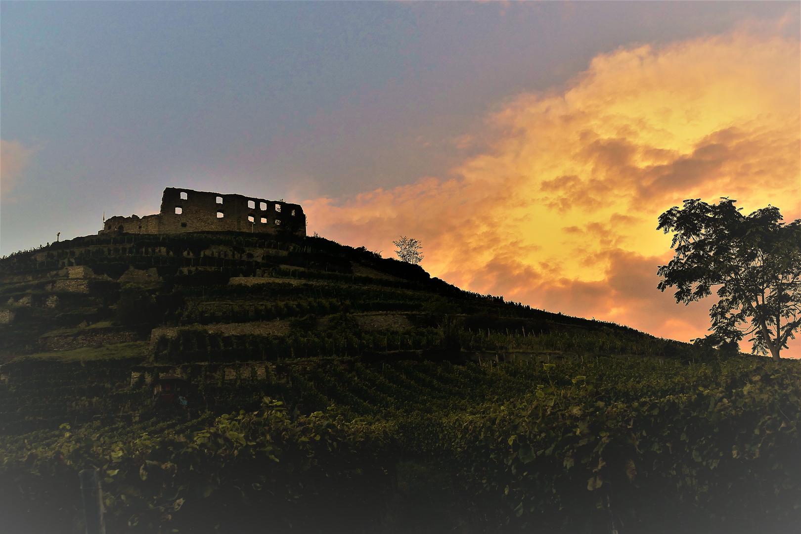  Staufen Burg