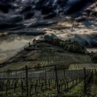 Staufen Castle Ruins and Vineyard