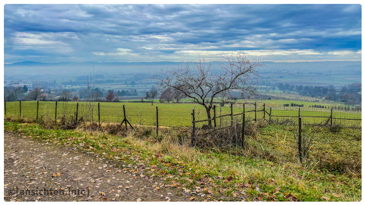 [Staufen I Rheinebene I Herbstlandschaft]