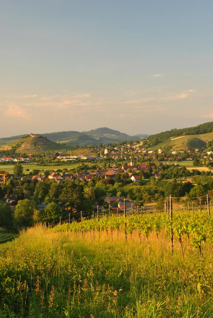 Staufen im Breisgau