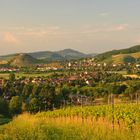 Staufen im Breisgau