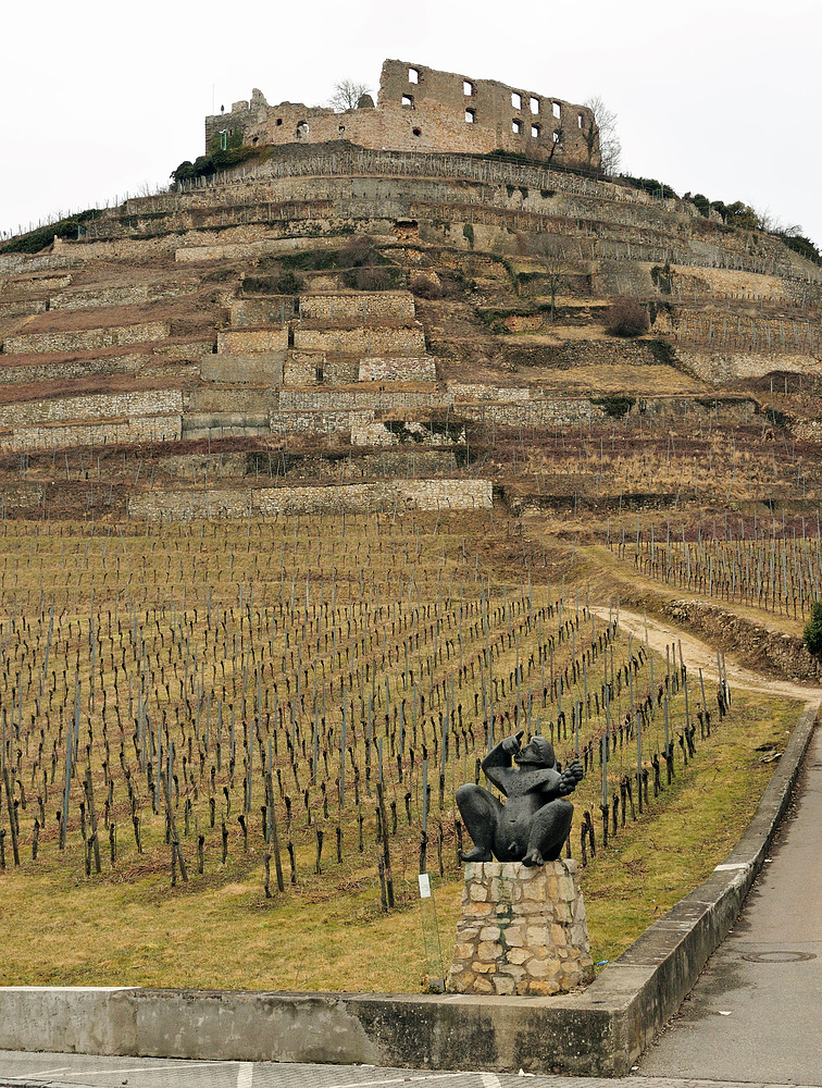 Staufen im Breisgau darf nicht zerbrechen Nr.14