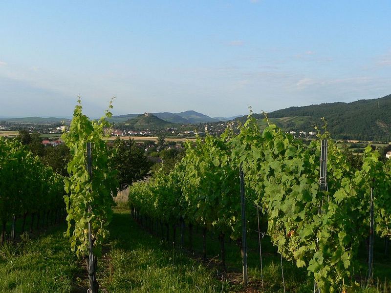 Staufen im Breisgau