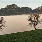 Staufen und Zwiesel