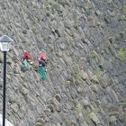 Staumauer der Talsperre Saidenbach.