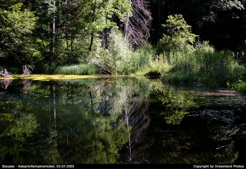 Stausee am Aabach/Kemptnertobel zwischen Bäretswil und Wetzikon im Zürcher Oberland