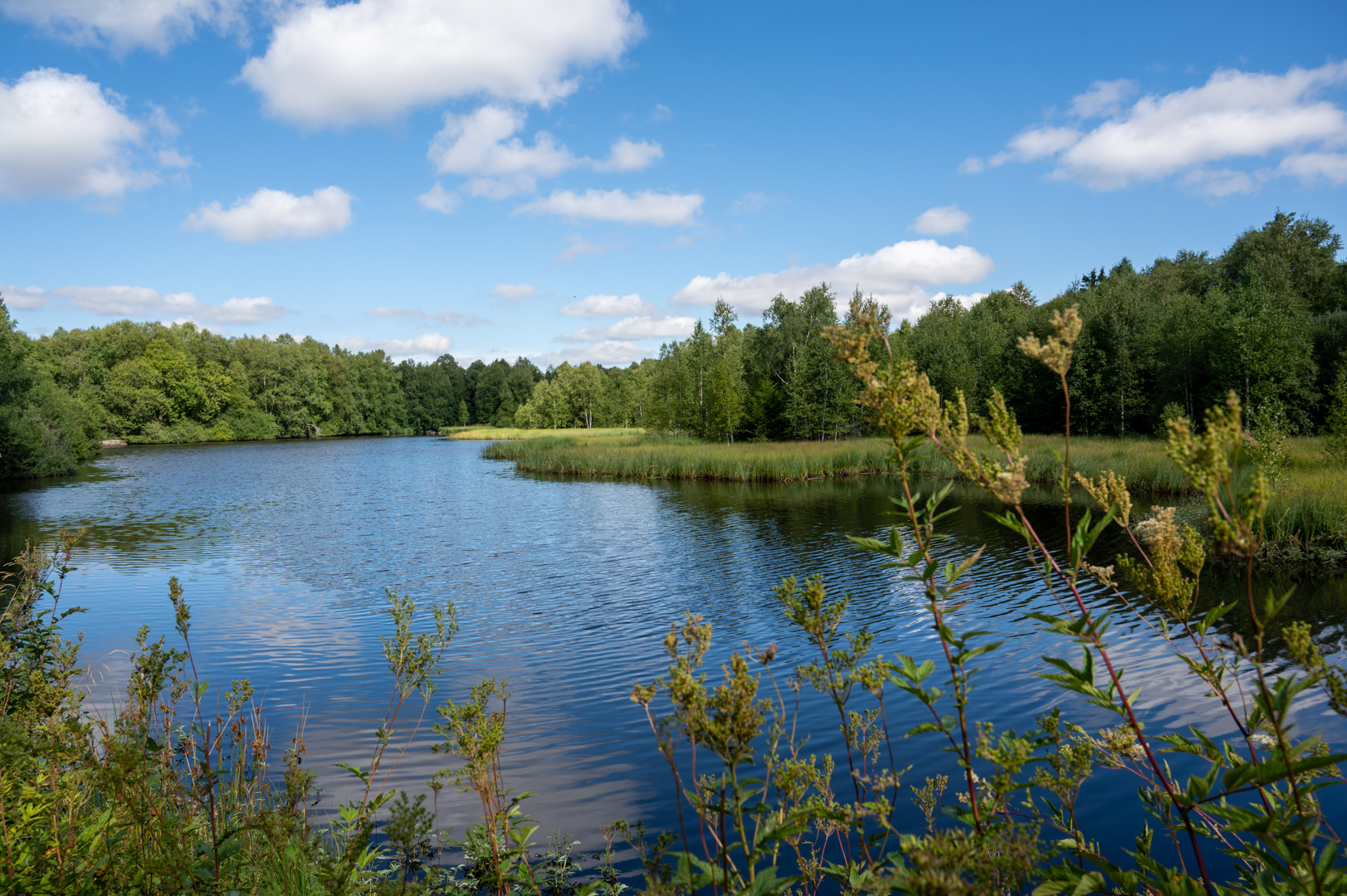 Stausee am Roten Moor