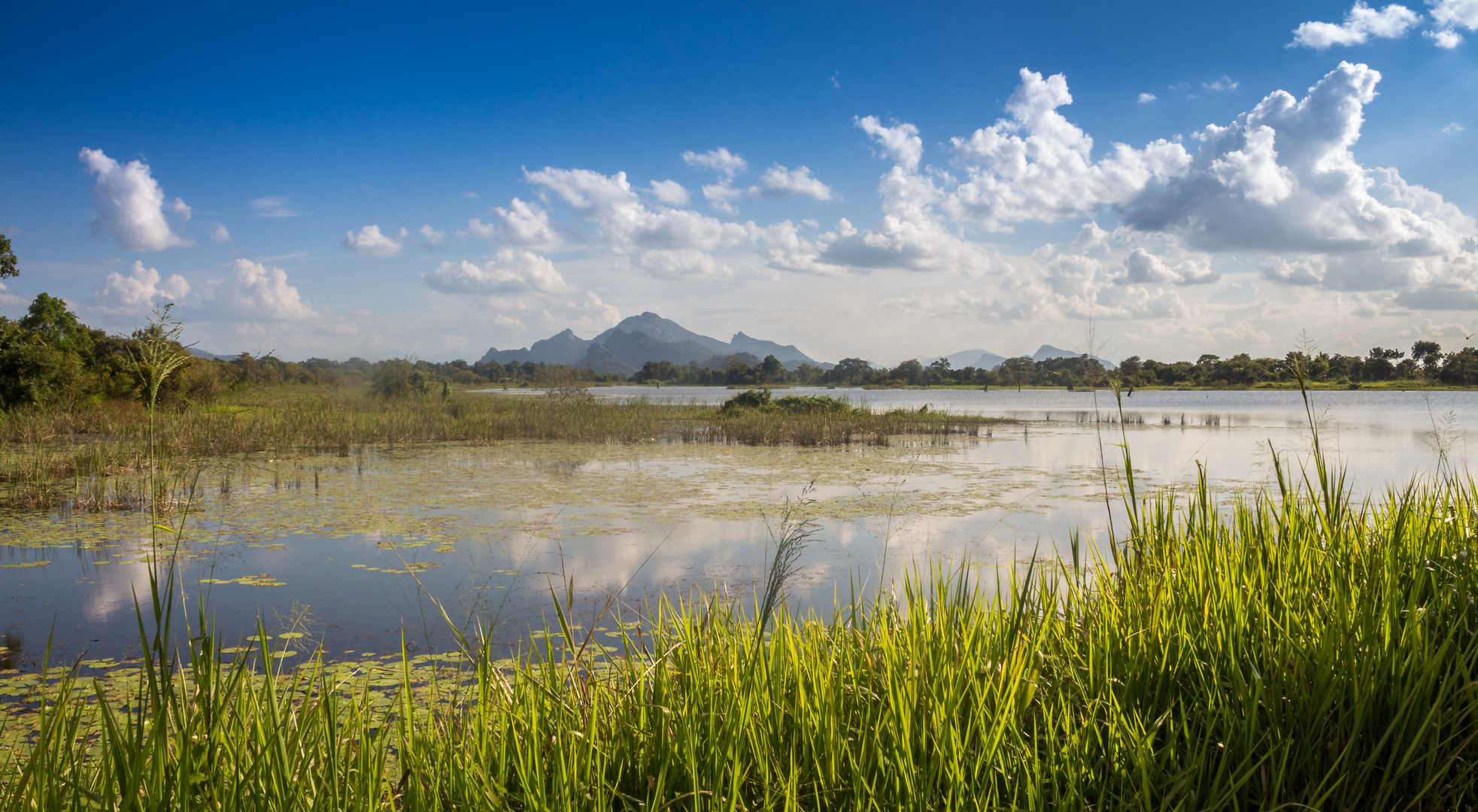 Stausee bei Sigiriya (Sri Lanka)