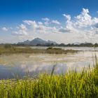 Stausee bei Sigiriya (Sri Lanka)