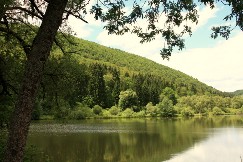 Stausee bei Tuttlingen