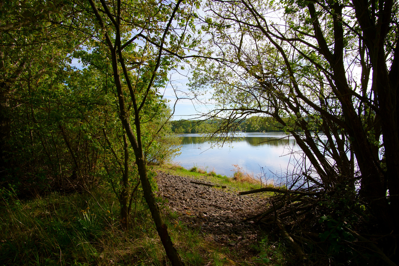 Stausee Birkungen im Mai 2020 - Foto 2