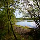 Stausee Birkungen im Mai 2020 - Foto 2