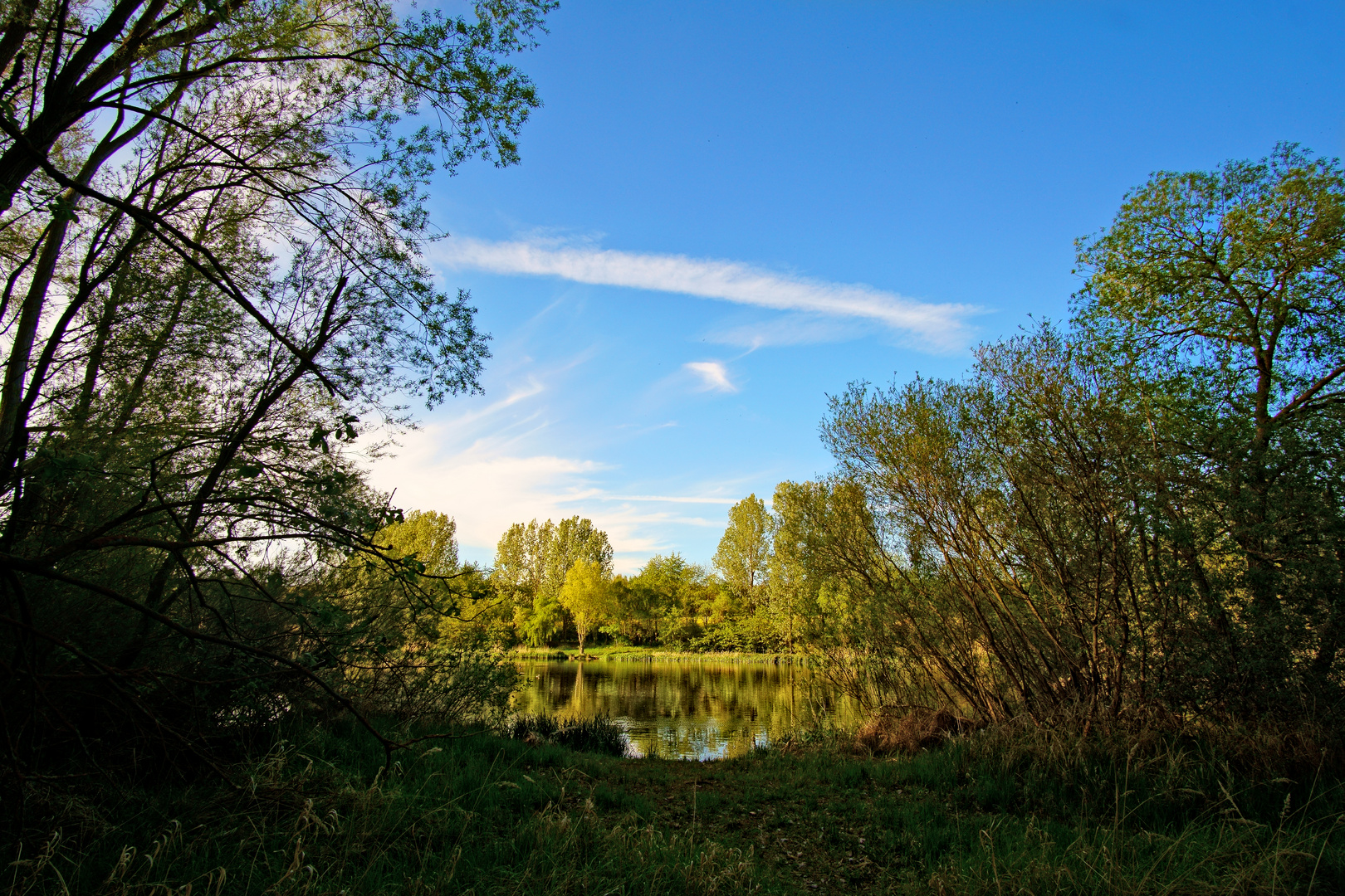 Stausee Birkungen im Mai 2020 Foto 3