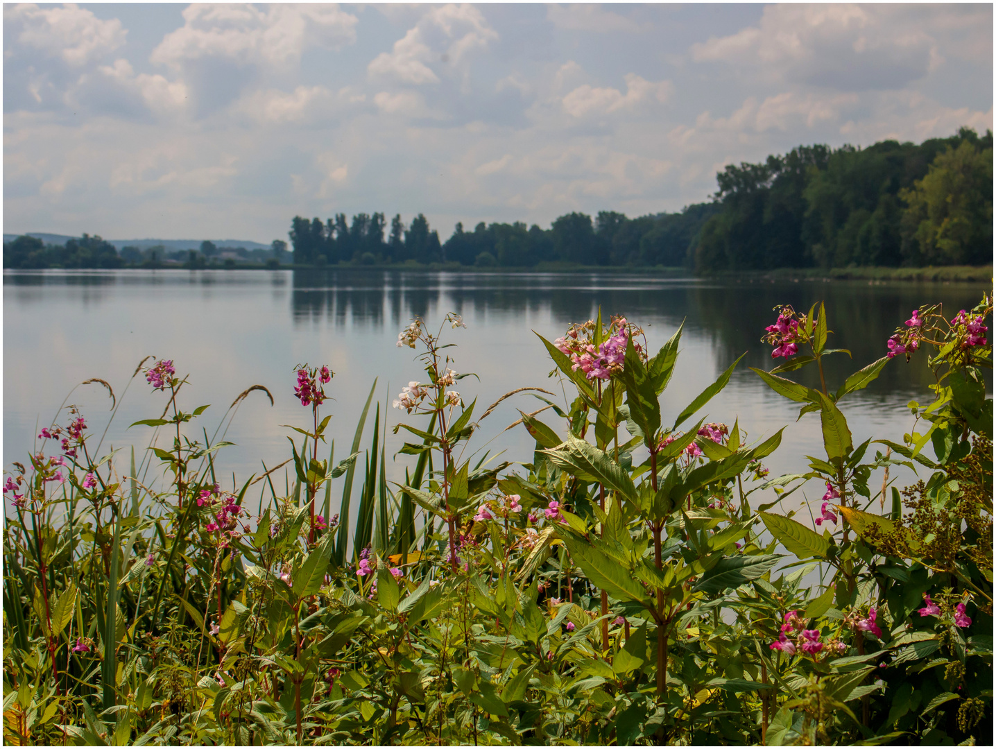 STAUSEE