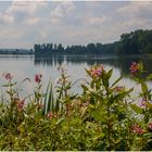 STAUSEE