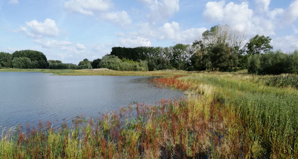 Stausee Friemar (TH)